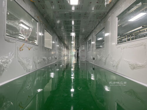 无尘无菌净化车间 食品、化妆品、电子及日用杂品厂的设计与施工关键